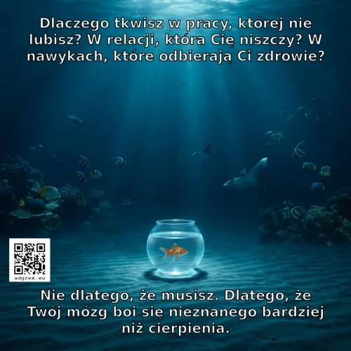 Losowa inspiracja