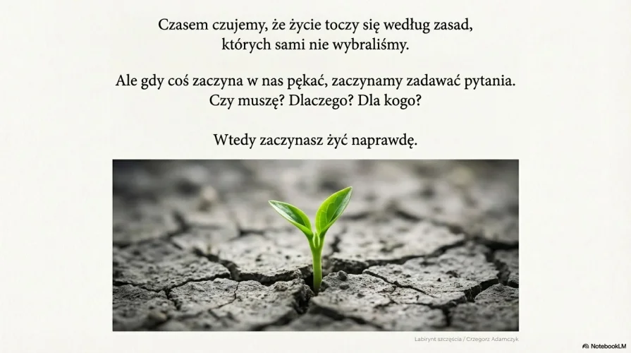 Losowa inspiracja